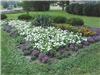 Full flower bed in Riverview Park
