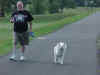 Man Walking a Dog
