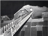 1968 Building Fire