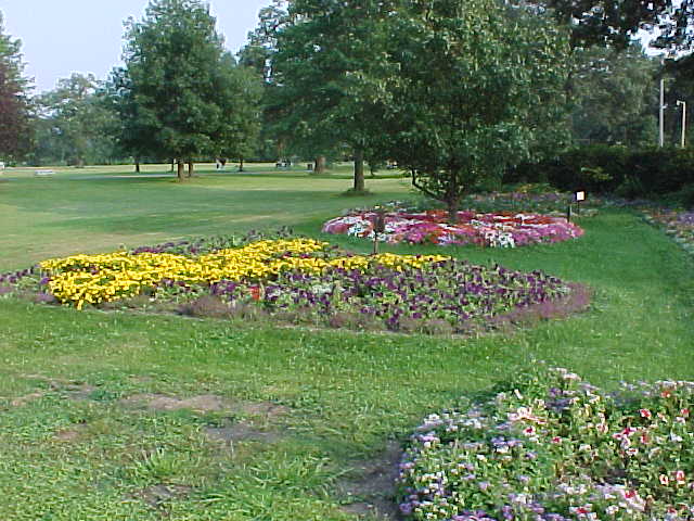 Landscaping in the park