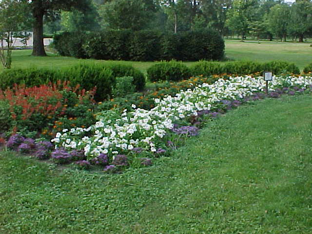 Riverview Park flower bed