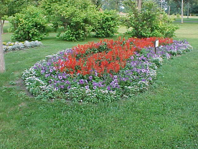 Flower bed in Riverview Park