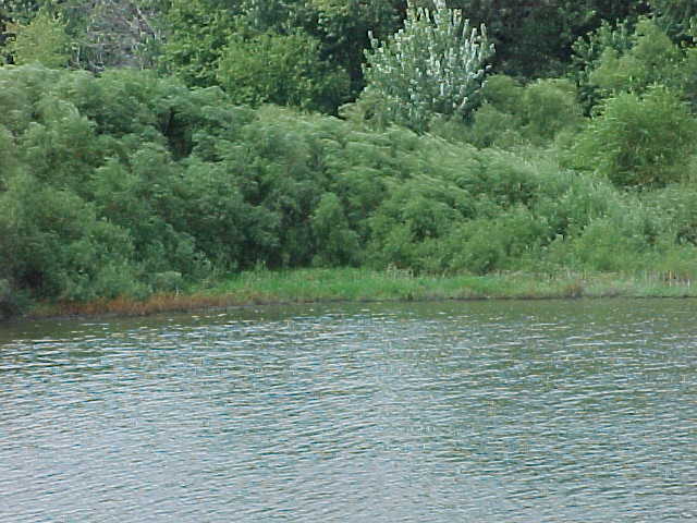 Bike Trail Along Iowa River on North Side of City