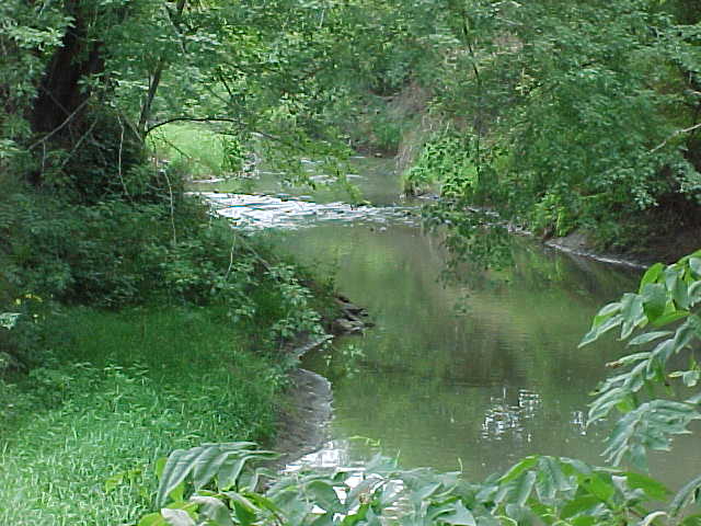 Nestled in a Wooded Area Adjacent to a Quiet Suburban Neighborhood